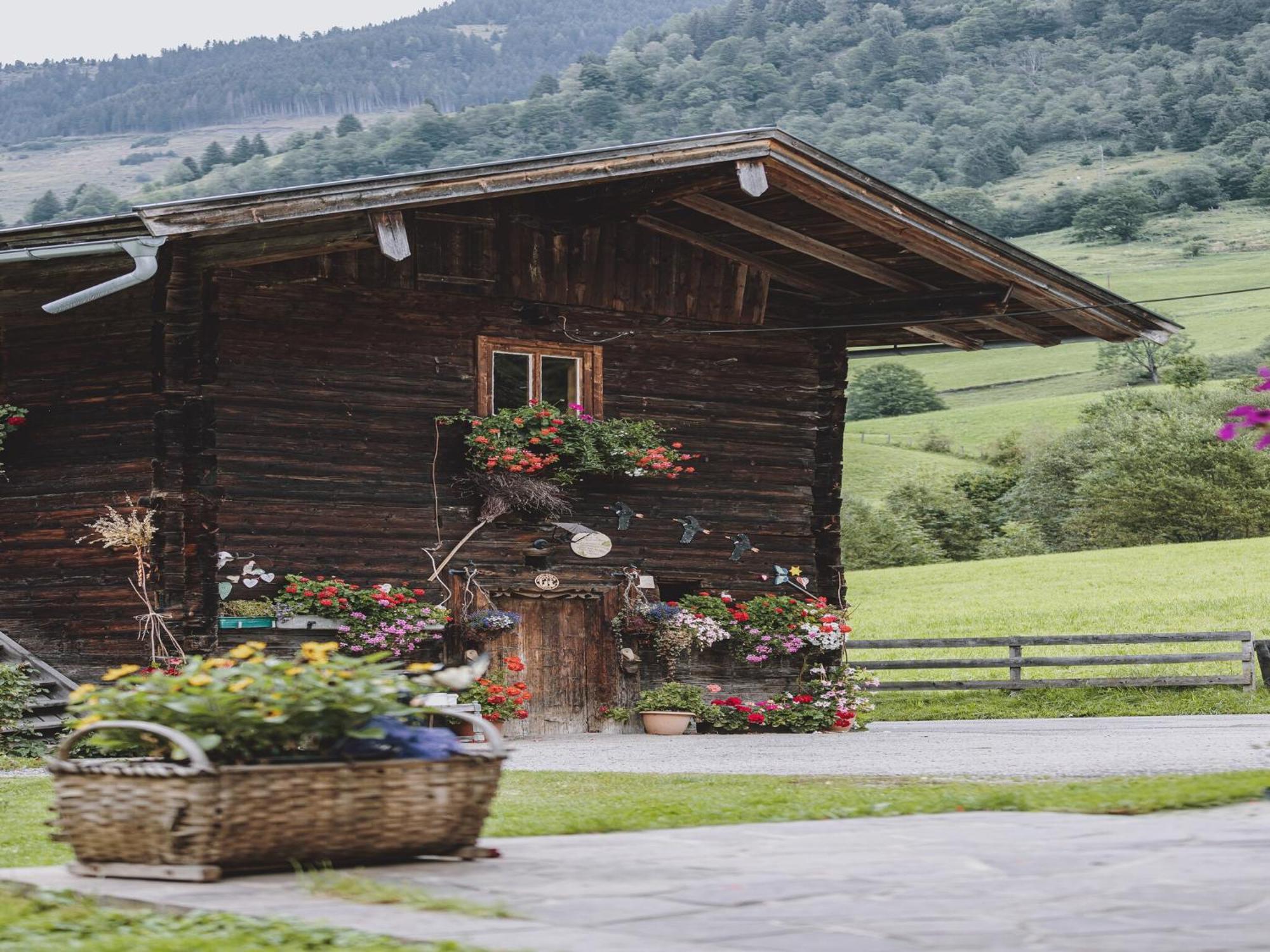 Holiday Home Fusch An Der Glocknerstra E Fusch an der Grossglocknerstrasse Extérieur photo